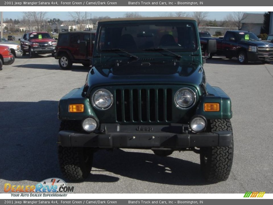 2001 Jeep Wrangler Sahara 4x4 Forest Green / Camel/Dark Green Photo #32