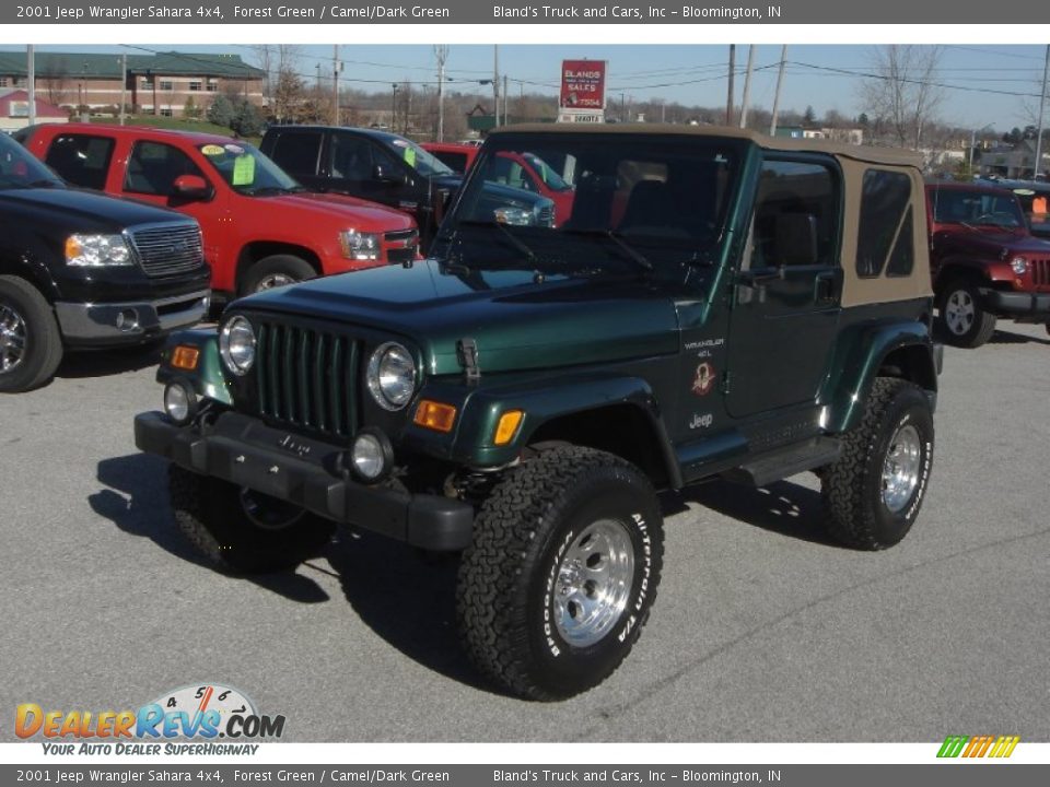 2001 Jeep Wrangler Sahara 4x4 Forest Green / Camel/Dark Green Photo #33