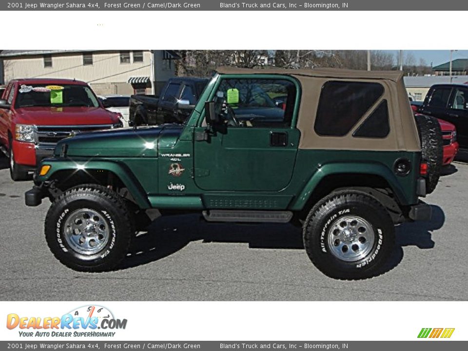 2001 Jeep Wrangler Sahara 4x4 Forest Green / Camel/Dark Green Photo #34