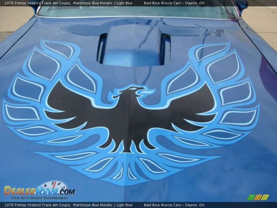 1978 Pontiac Firebird Trans Am Coupe Logo Photo #2