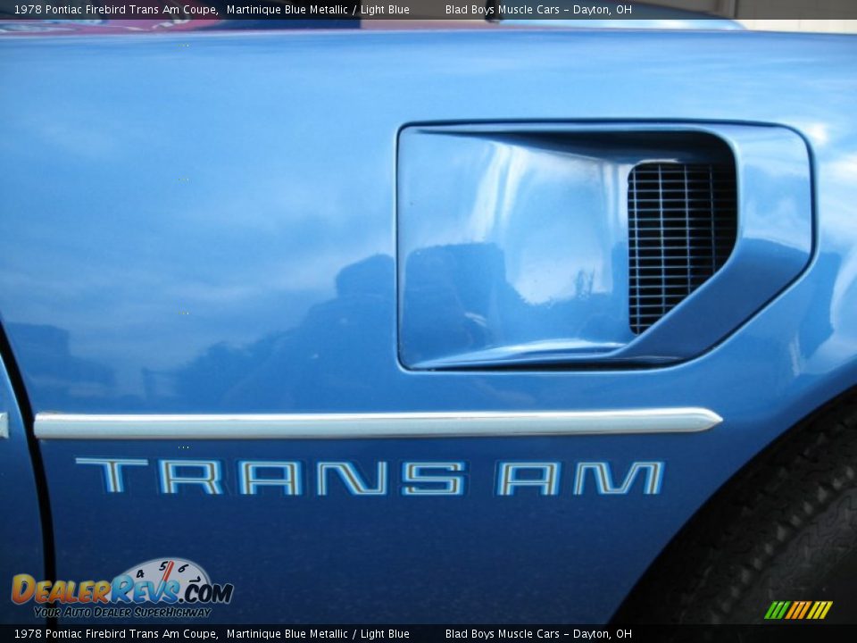 1978 Pontiac Firebird Trans Am Coupe Logo Photo #4