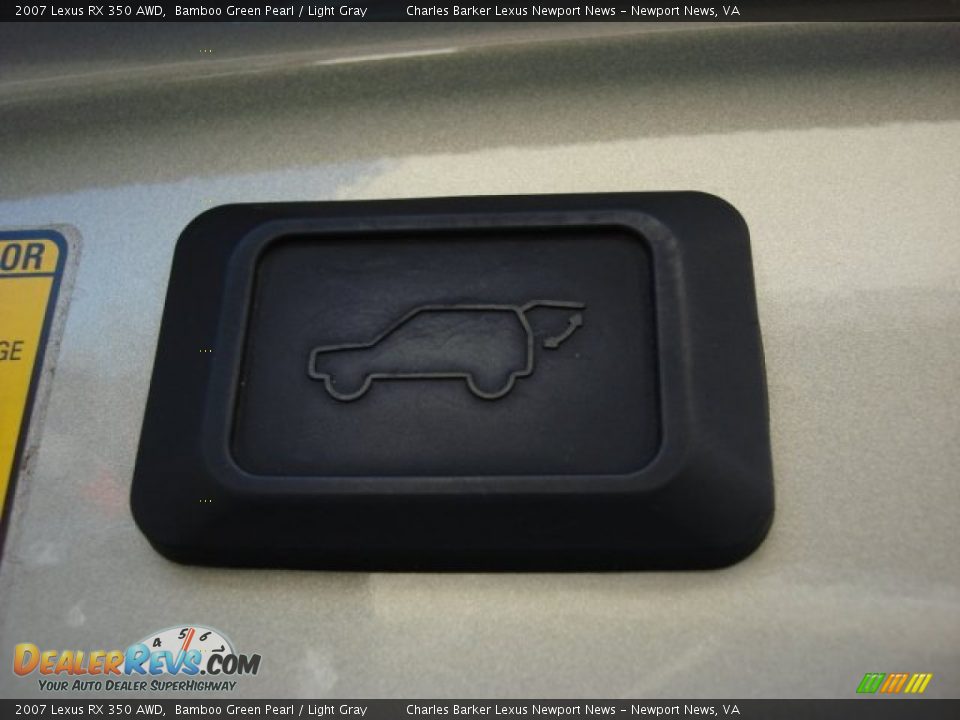 2007 Lexus RX 350 AWD Bamboo Green Pearl / Light Gray Photo #13