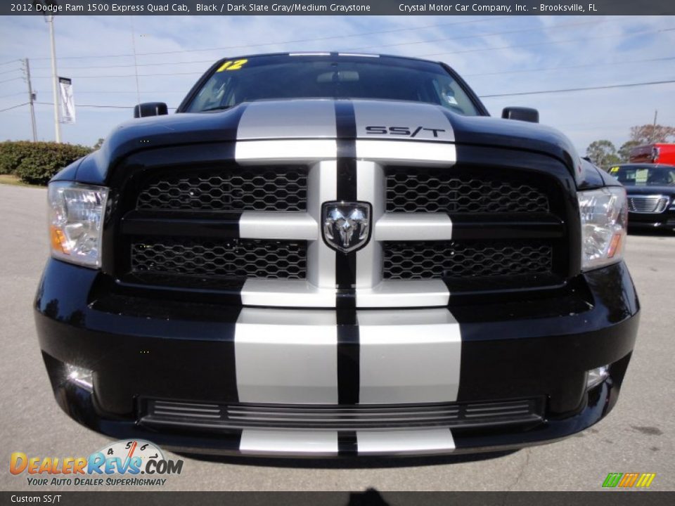Custom SS/T - 2012 Dodge Ram 1500