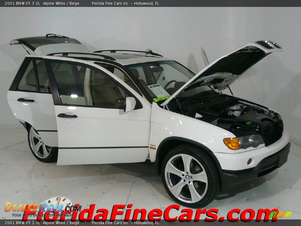 2001 BMW X5 3.0i Alpine White / Beige Photo #7
