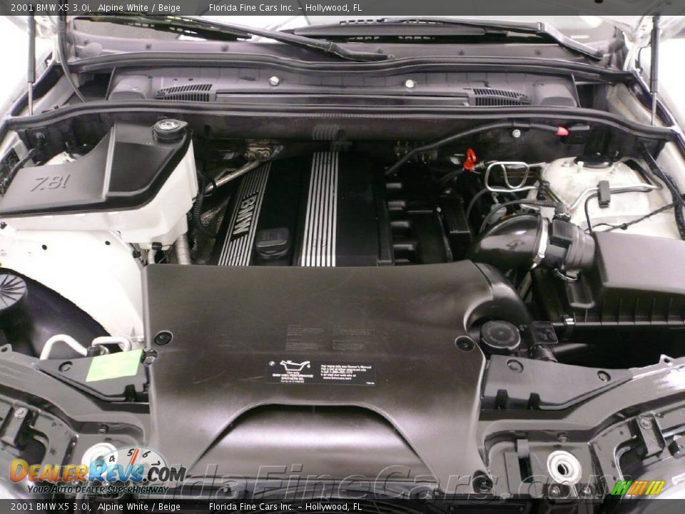 2001 BMW X5 3.0i Alpine White / Beige Photo #10