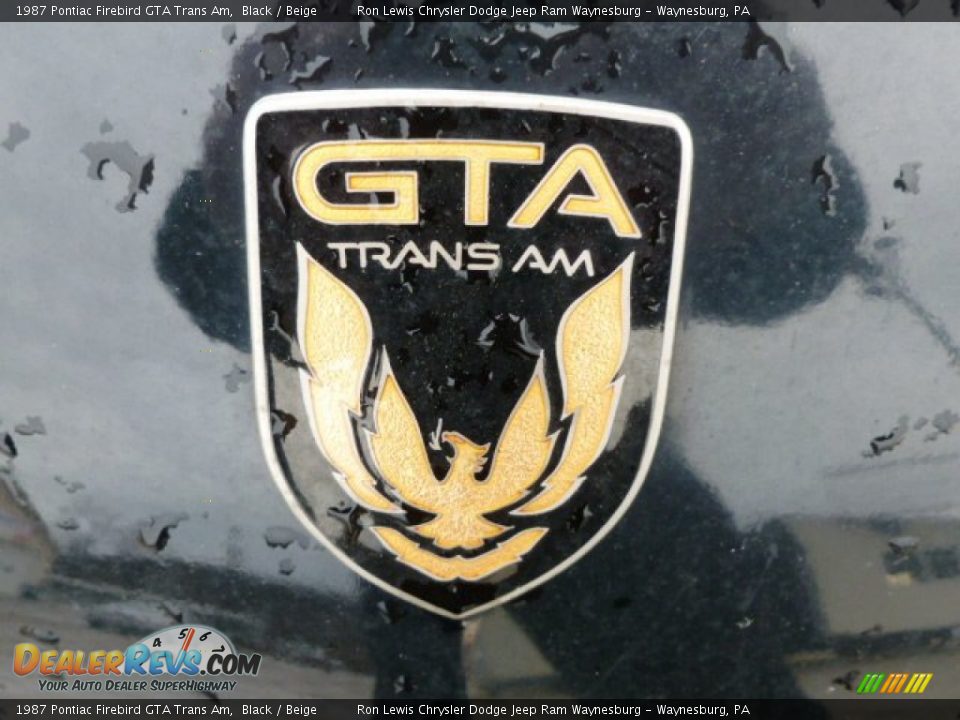 1987 Pontiac Firebird GTA Trans Am Logo Photo #10