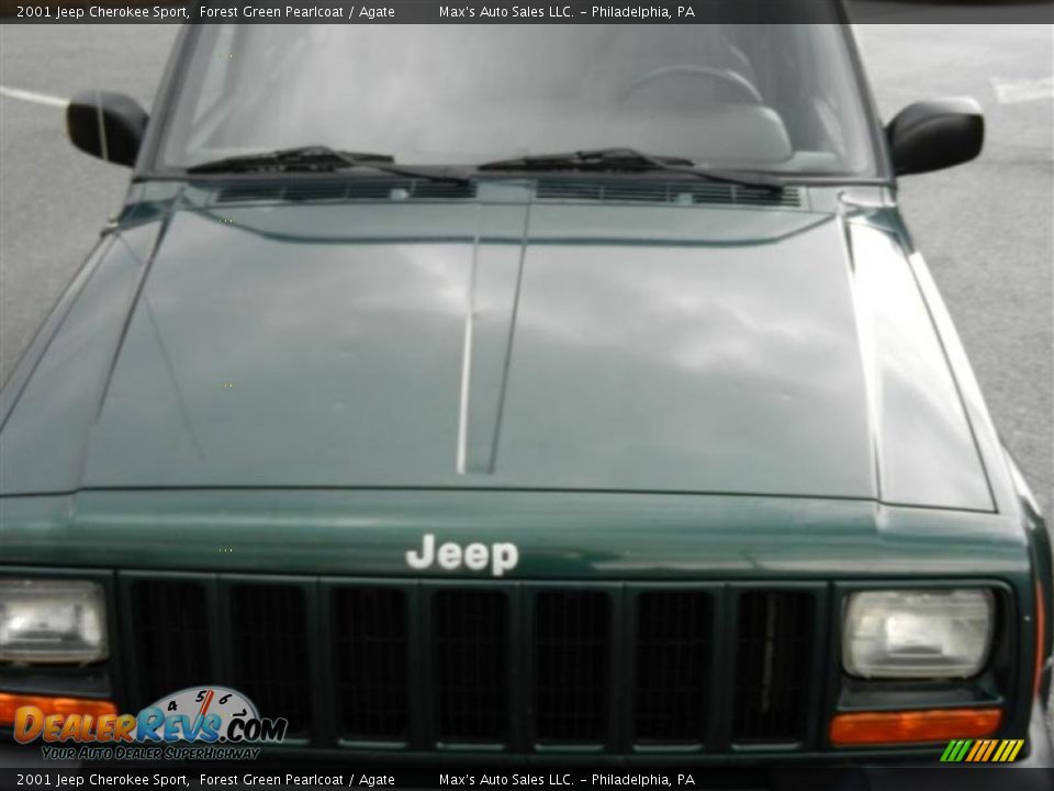 2001 Jeep Cherokee Sport Forest Green Pearlcoat / Agate Photo #15