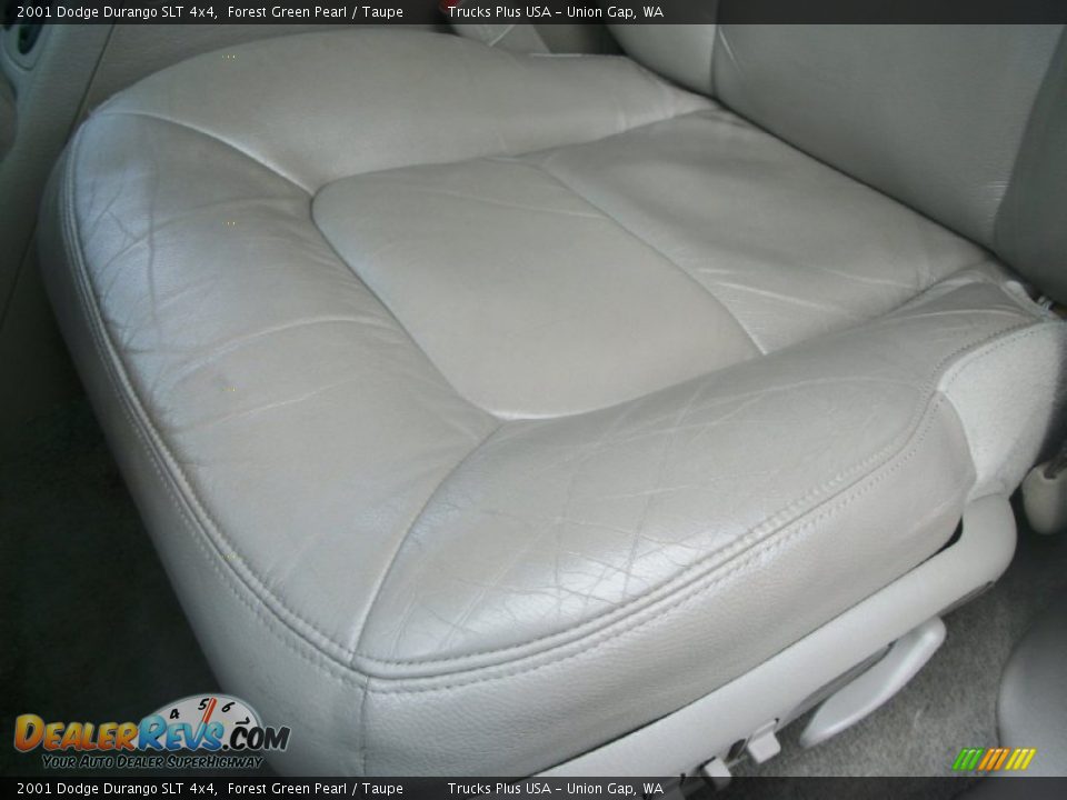 2001 Dodge Durango SLT 4x4 Forest Green Pearl / Taupe Photo #10