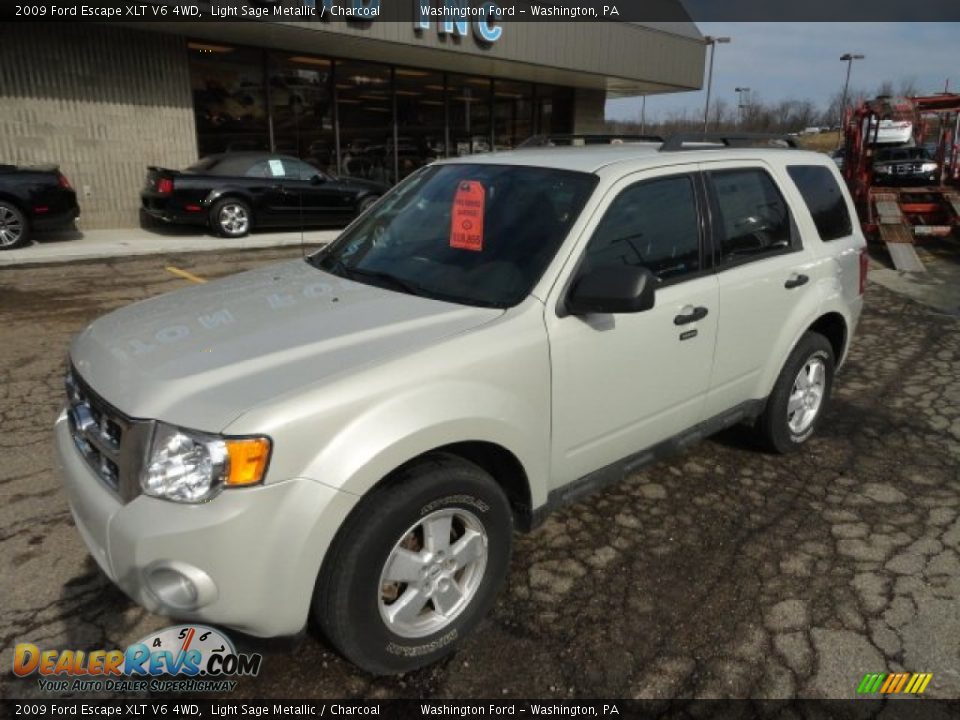 2009 Ford Escape XLT V6 4WD Light Sage Metallic / Charcoal Photo #8