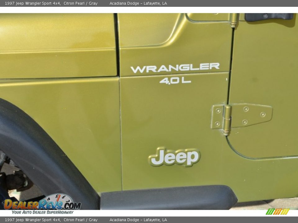 Color Sample of 1997 Jeep Wrangler Sport 4x4 Photo #12