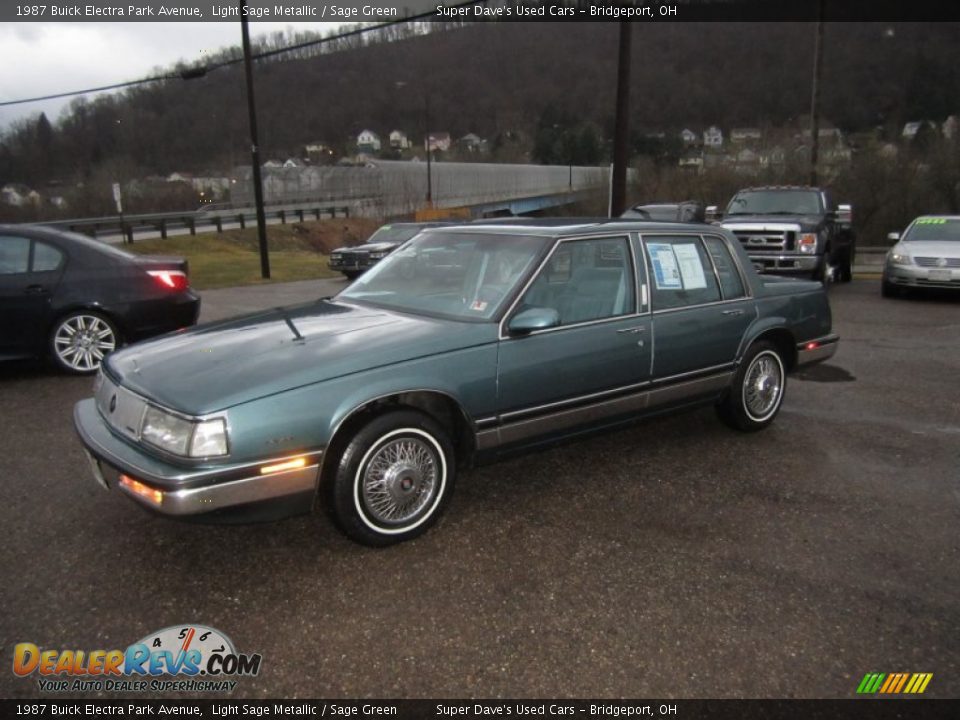 1987 Buick Electra Park Avenue Light Sage Metallic / Sage Green Photo #1
