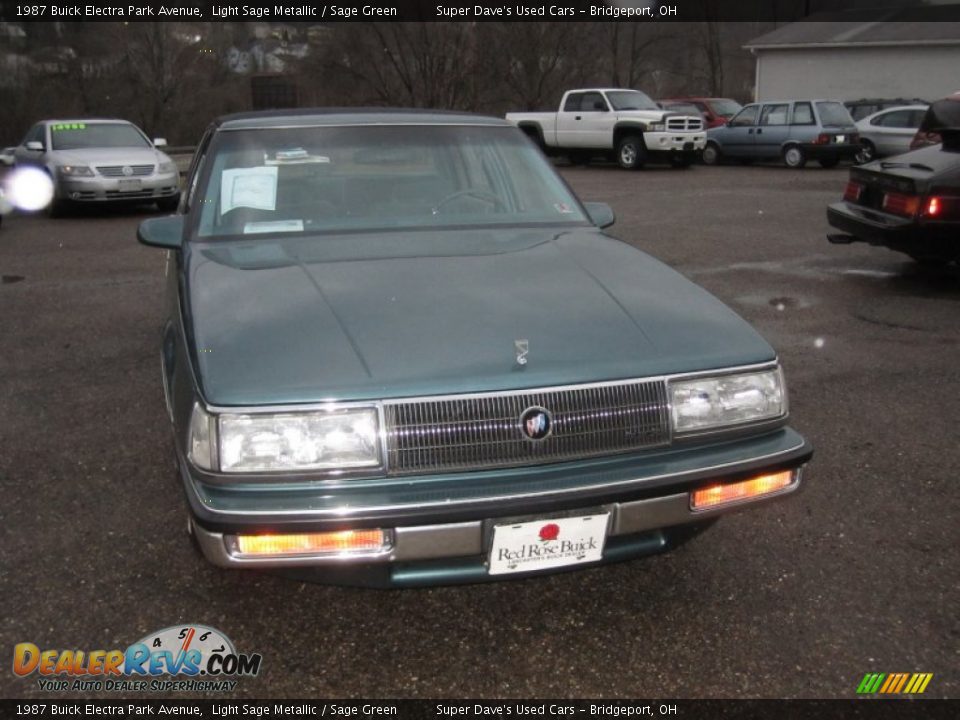 1987 Buick Electra Park Avenue Light Sage Metallic / Sage Green Photo #10