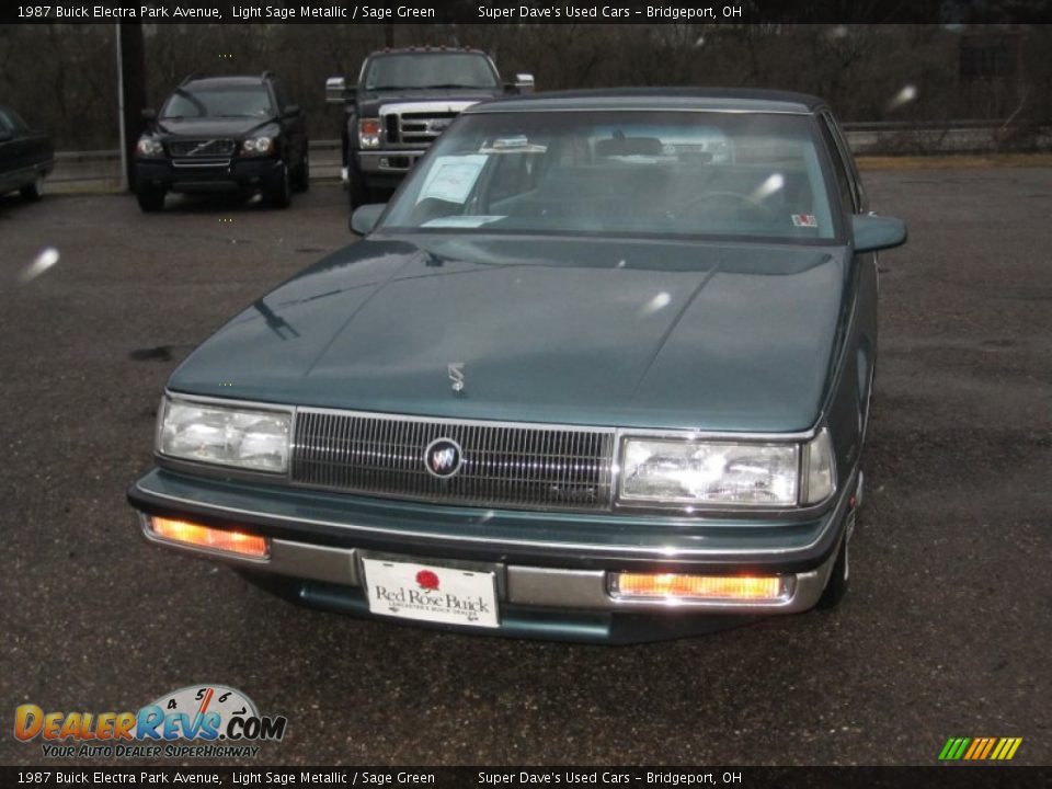 1987 Buick Electra Park Avenue Light Sage Metallic / Sage Green Photo #11