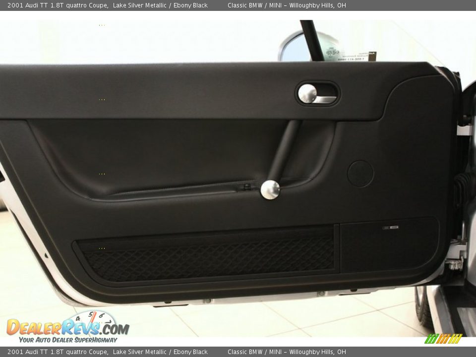 Door Panel of 2001 Audi TT 1.8T quattro Coupe Photo #5