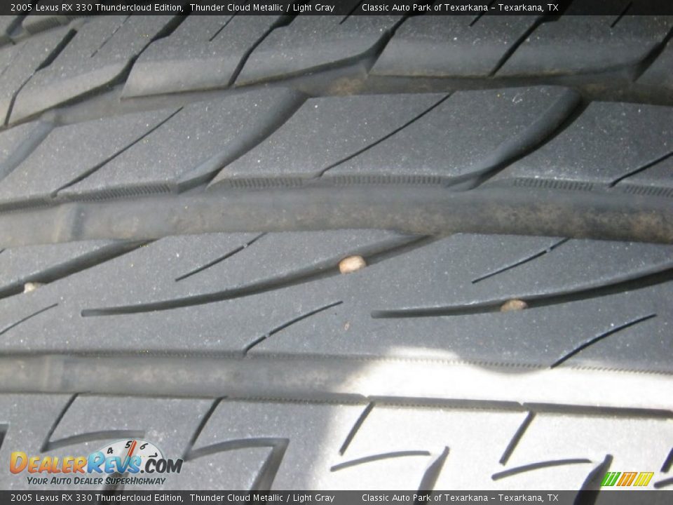 2005 Lexus RX 330 Thundercloud Edition Thunder Cloud Metallic / Light Gray Photo #22