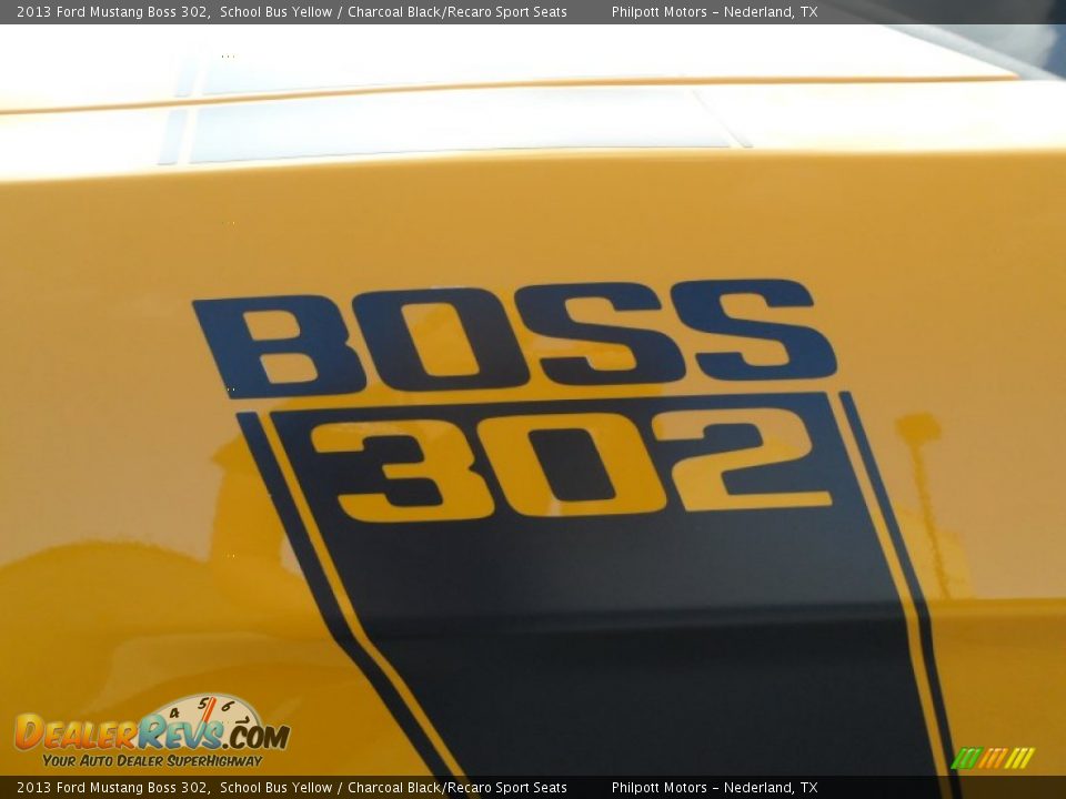 2013 Ford Mustang Boss 302 Logo Photo #14