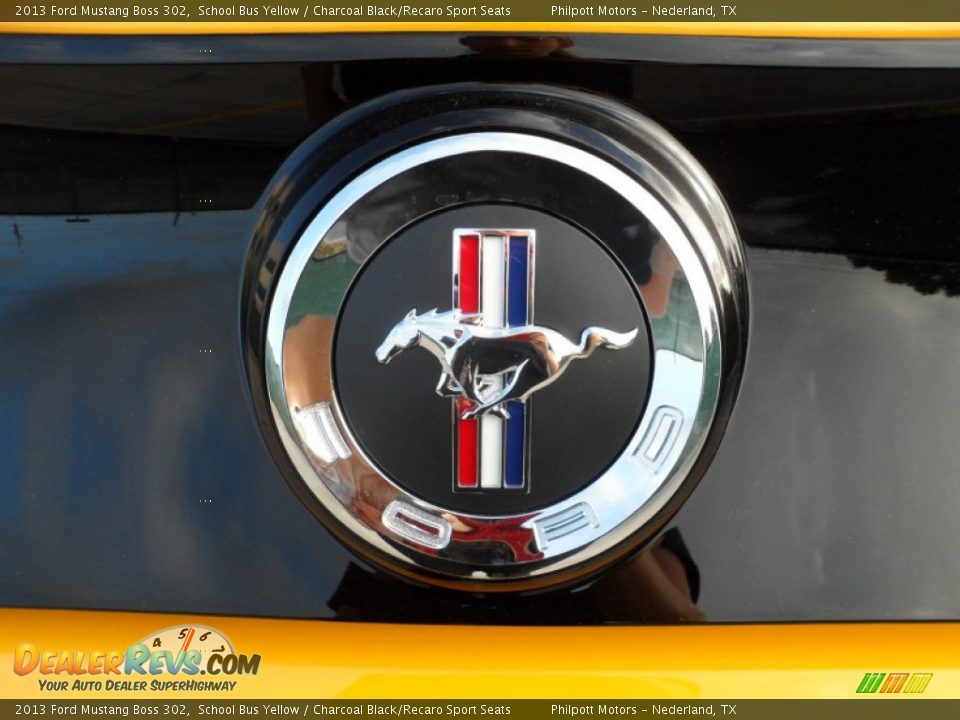 2013 Ford Mustang Boss 302 Logo Photo #18