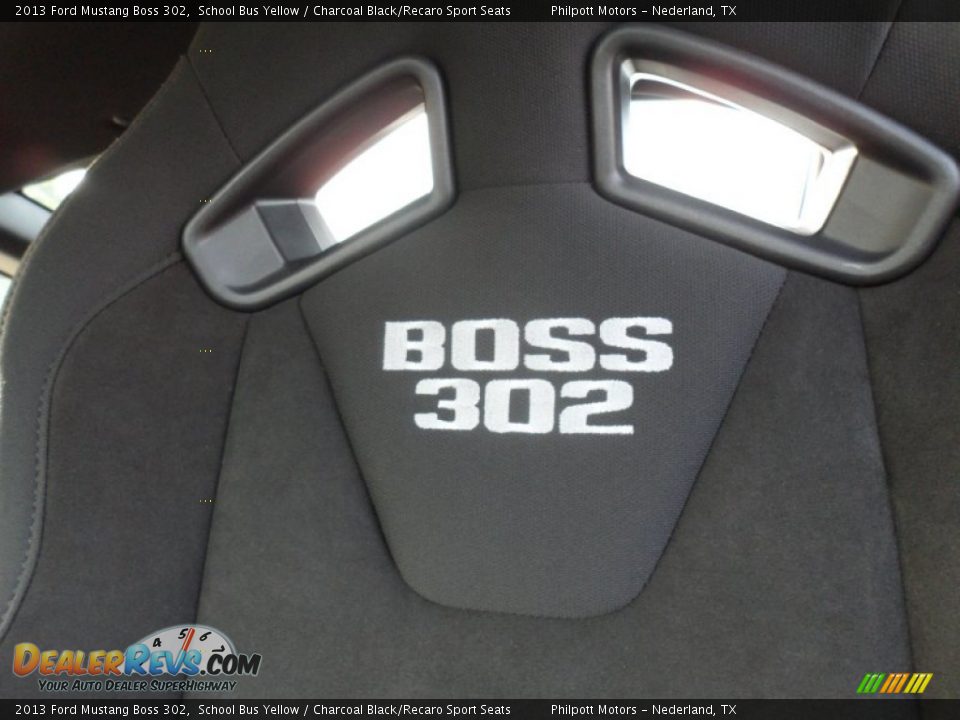 2013 Ford Mustang Boss 302 Logo Photo #28
