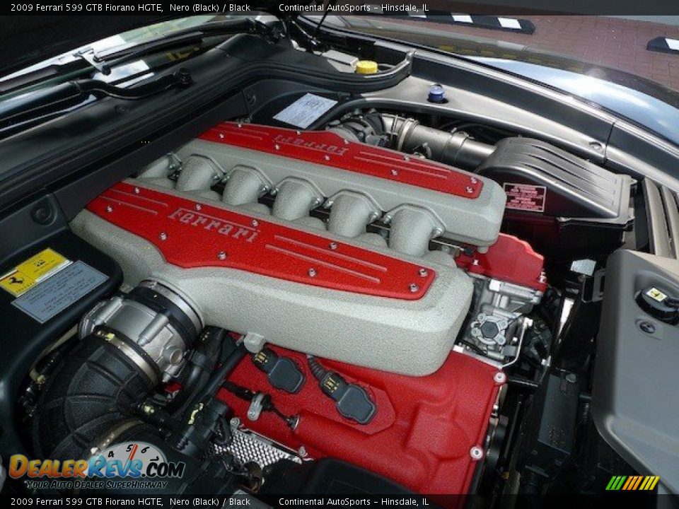 2009 Ferrari 599 GTB Fiorano HGTE 6.0 Liter DOHC 48-Valve VVT V12 Engine Photo #10