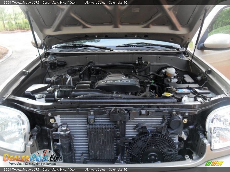 2004 Toyota Sequoia SR5 Desert Sand Mica / Oak Photo #11