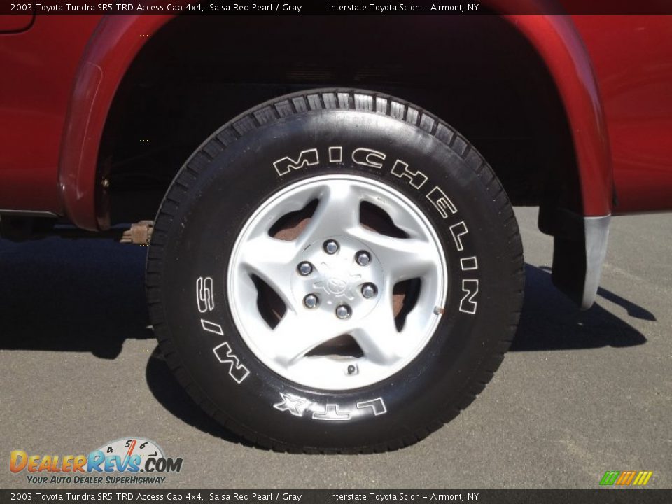2003 Toyota Tundra SR5 TRD Access Cab 4x4 Salsa Red Pearl / Gray Photo #9