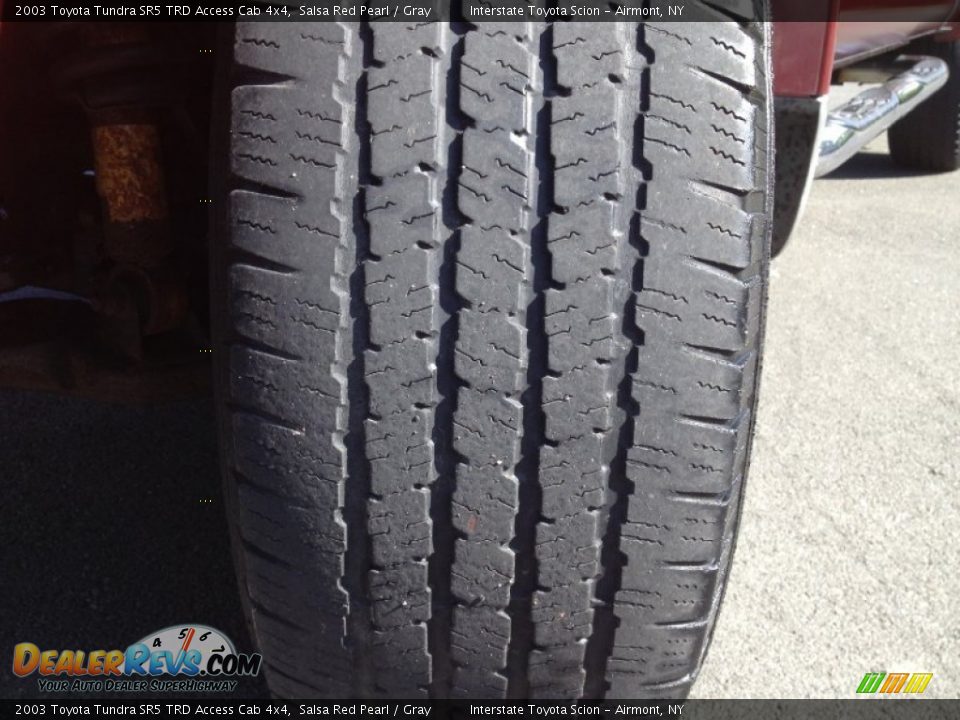 2003 Toyota Tundra SR5 TRD Access Cab 4x4 Salsa Red Pearl / Gray Photo #10