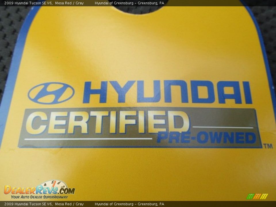 2009 Hyundai Tucson SE V6 Mesa Red / Gray Photo #10