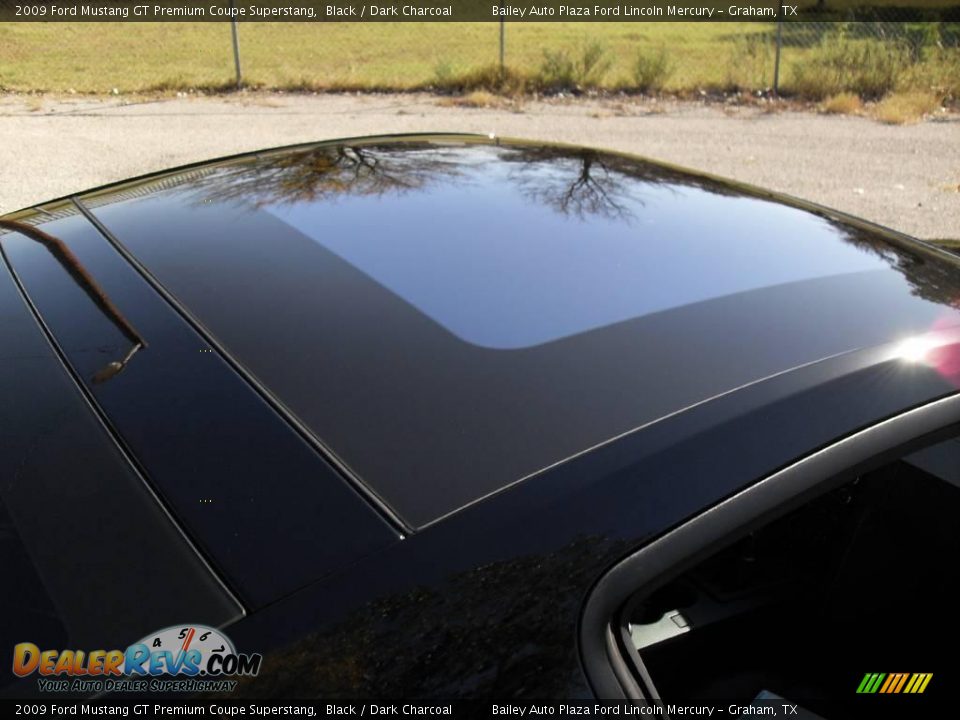 2009 Ford Mustang GT Premium Coupe Superstang Black / Dark Charcoal Photo #18