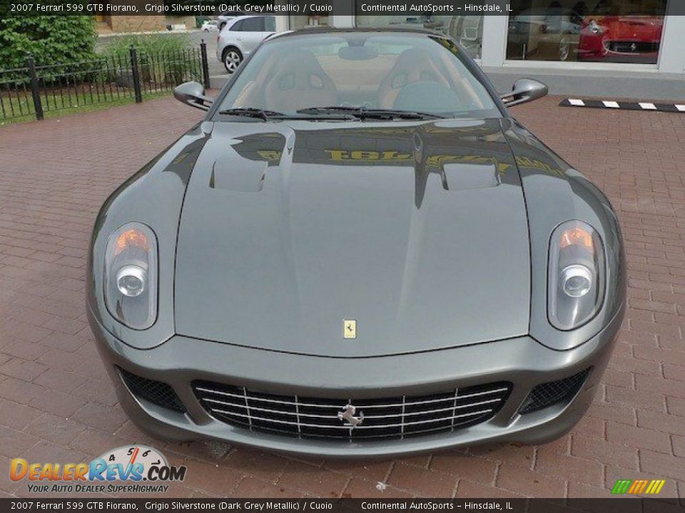 2007 Ferrari 599 GTB Fiorano Grigio Silverstone (Dark Grey Metallic) / Cuoio Photo #12