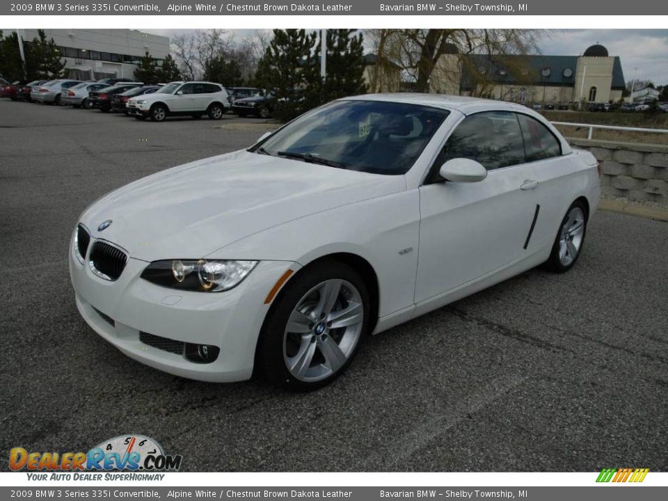 Chestnut brown bmw #6