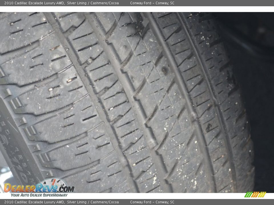 2010 Cadillac Escalade Luxury AWD Silver Lining / Cashmere/Cocoa Photo #10