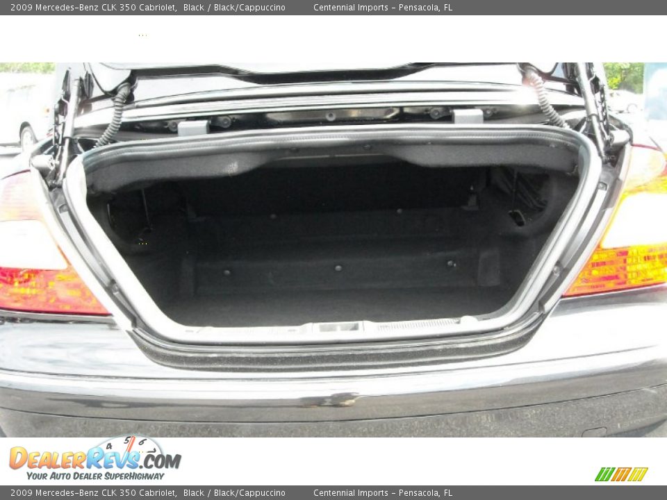 2009 Mercedes-Benz CLK 350 Cabriolet Black / Black/Cappuccino Photo #17
