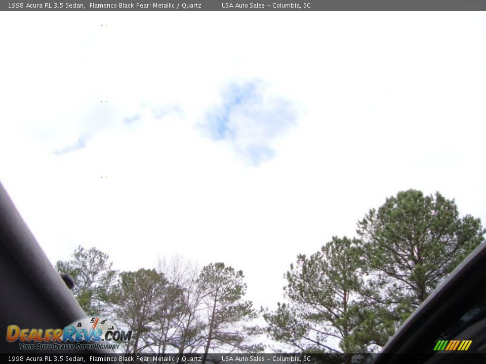1998 Acura RL 3.5 Sedan Flamenco Black Pearl Metallic / Quartz Photo #29