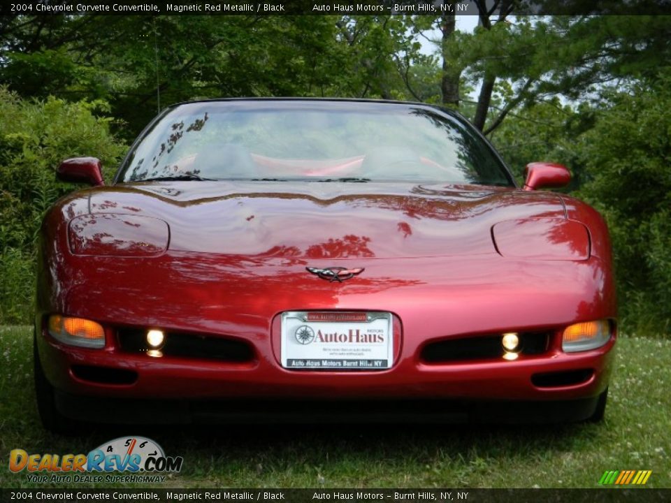 2004 Chevrolet Corvette Convertible Magnetic Red Metallic / Black Photo #12