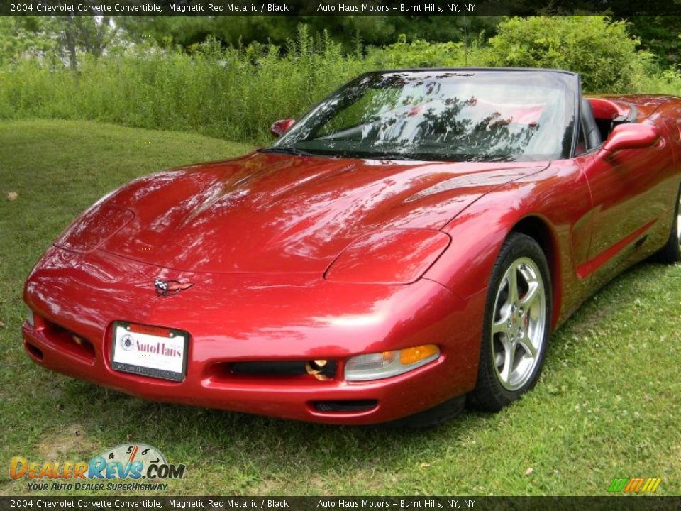 2004 Chevrolet Corvette Convertible Magnetic Red Metallic / Black Photo #13