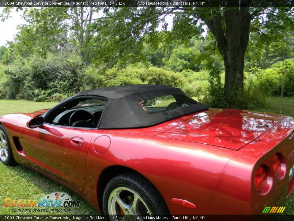 2004 Chevrolet Corvette Convertible Magnetic Red Metallic / Black Photo #16