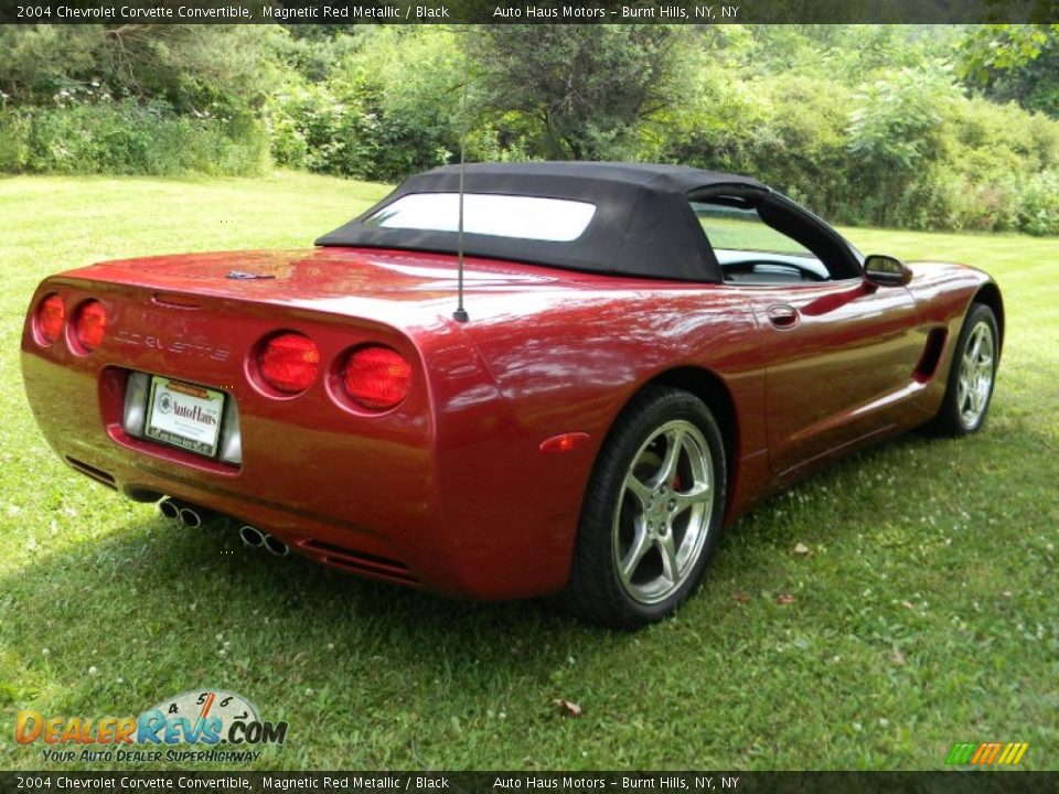 2004 Chevrolet Corvette Convertible Magnetic Red Metallic / Black Photo #19