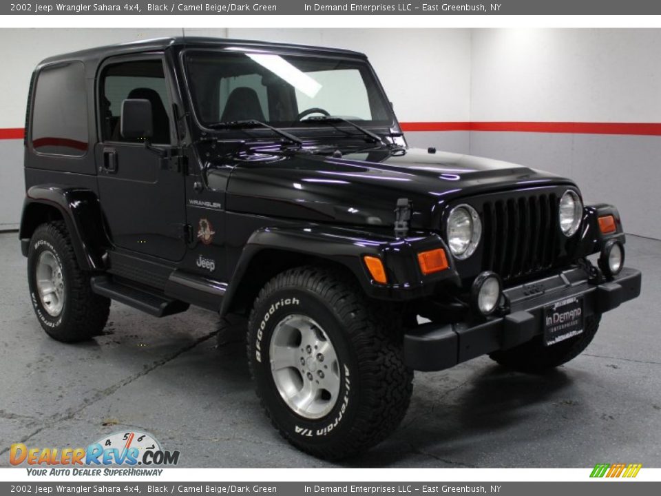 2002 Jeep Wrangler Sahara 4x4 Black / Camel Beige/Dark Green Photo #1