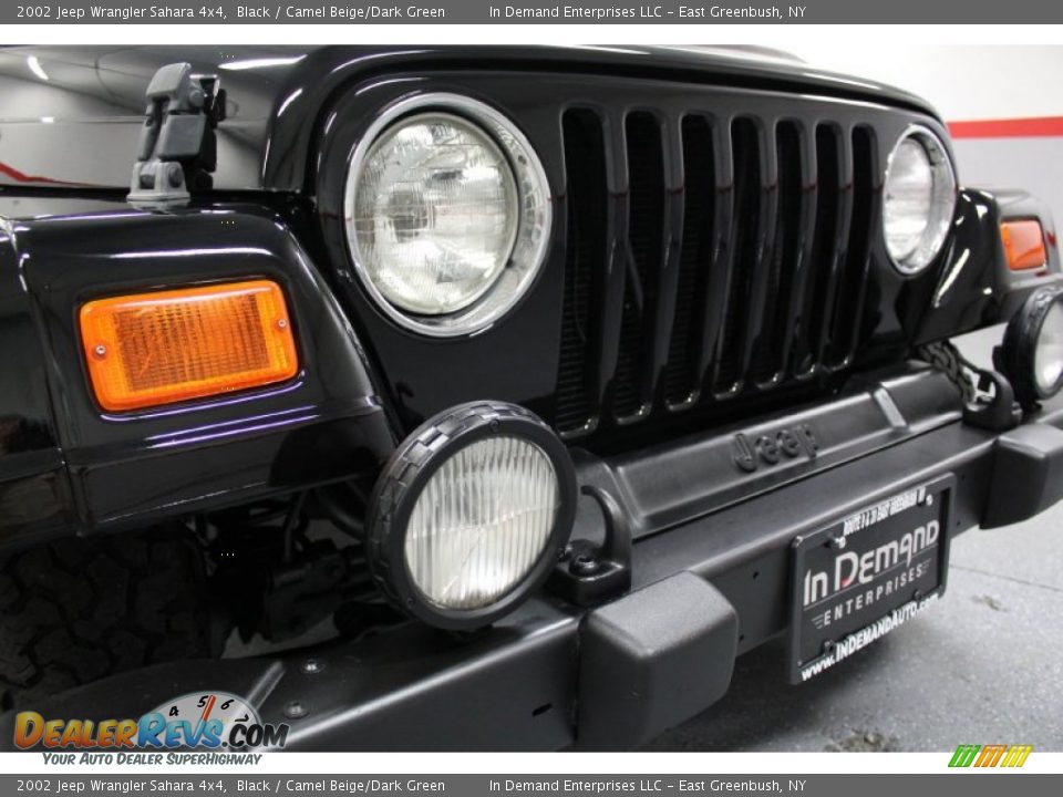 2002 Jeep Wrangler Sahara 4x4 Black / Camel Beige/Dark Green Photo #8