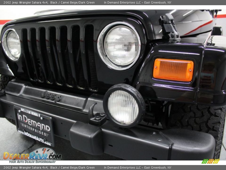 2002 Jeep Wrangler Sahara 4x4 Black / Camel Beige/Dark Green Photo #9
