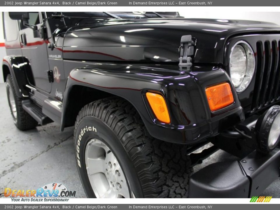 2002 Jeep Wrangler Sahara 4x4 Black / Camel Beige/Dark Green Photo #10
