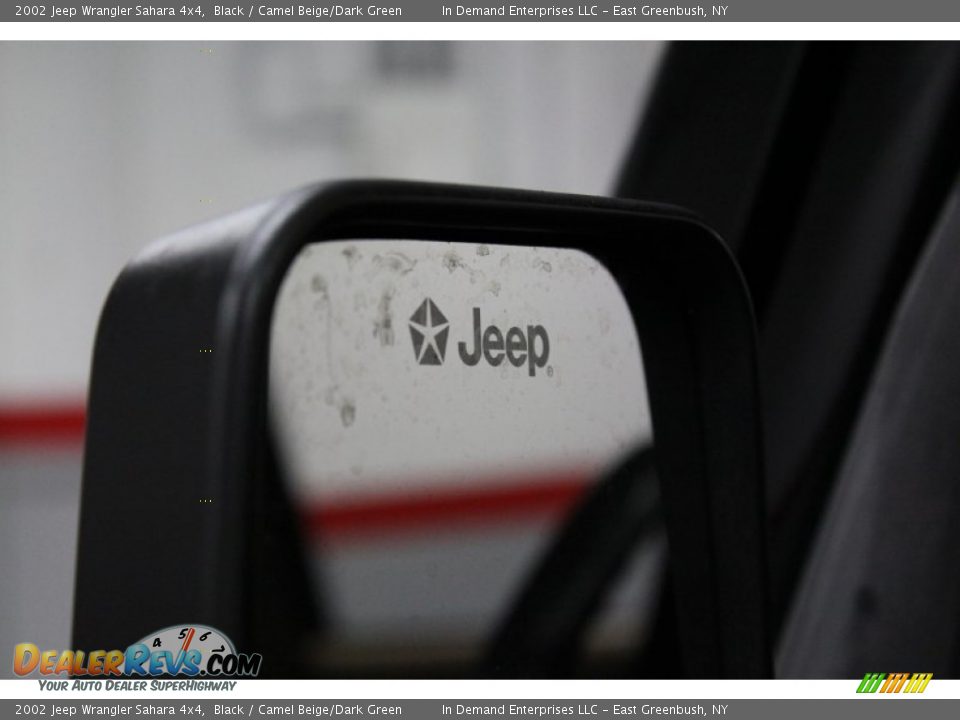 2002 Jeep Wrangler Sahara 4x4 Black / Camel Beige/Dark Green Photo #14