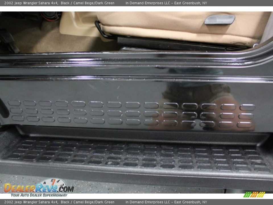 2002 Jeep Wrangler Sahara 4x4 Black / Camel Beige/Dark Green Photo #19