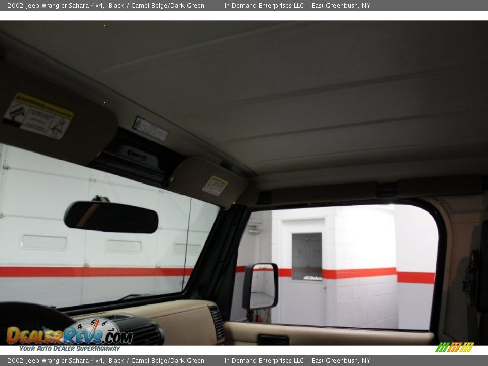 2002 Jeep Wrangler Sahara 4x4 Black / Camel Beige/Dark Green Photo #27