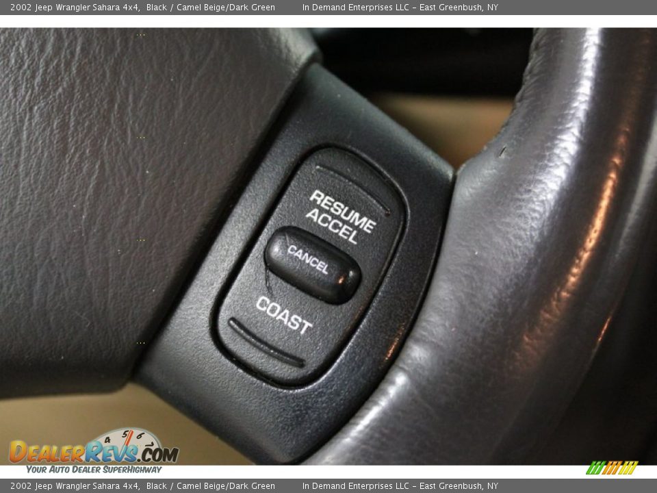 2002 Jeep Wrangler Sahara 4x4 Black / Camel Beige/Dark Green Photo #30