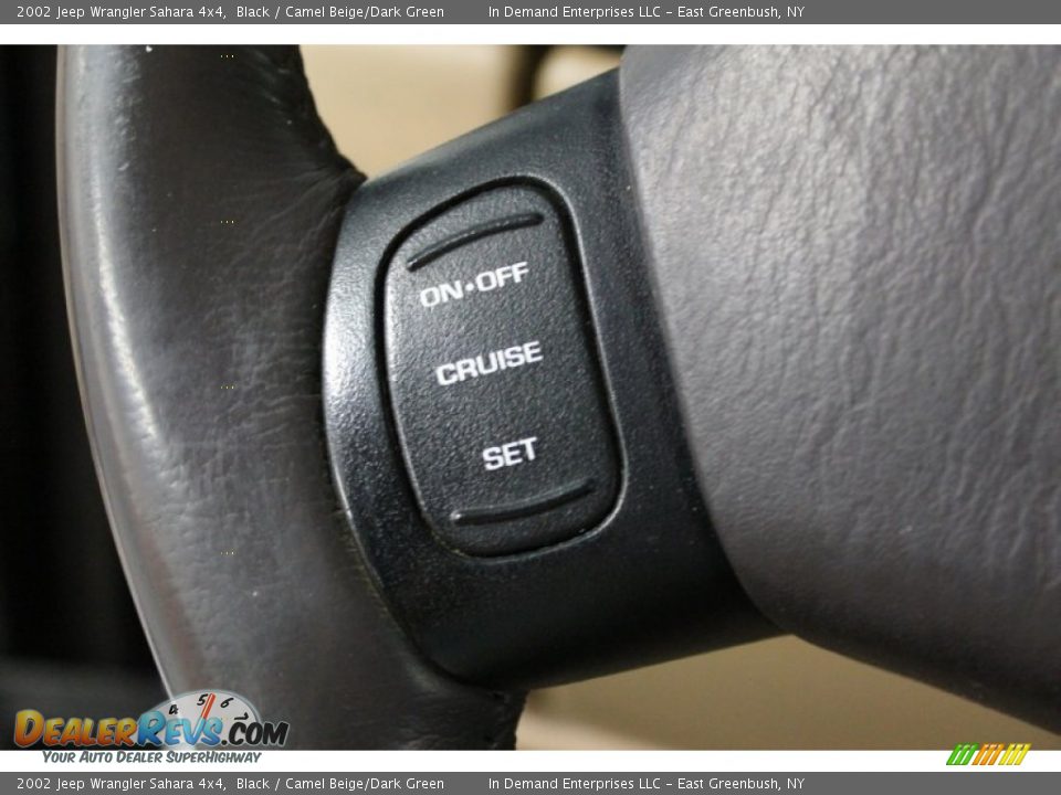 2002 Jeep Wrangler Sahara 4x4 Black / Camel Beige/Dark Green Photo #31