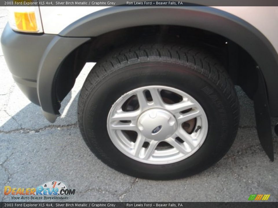 2003 Ford Explorer XLS 4x4 Silver Birch Metallic / Graphite Grey Photo #19