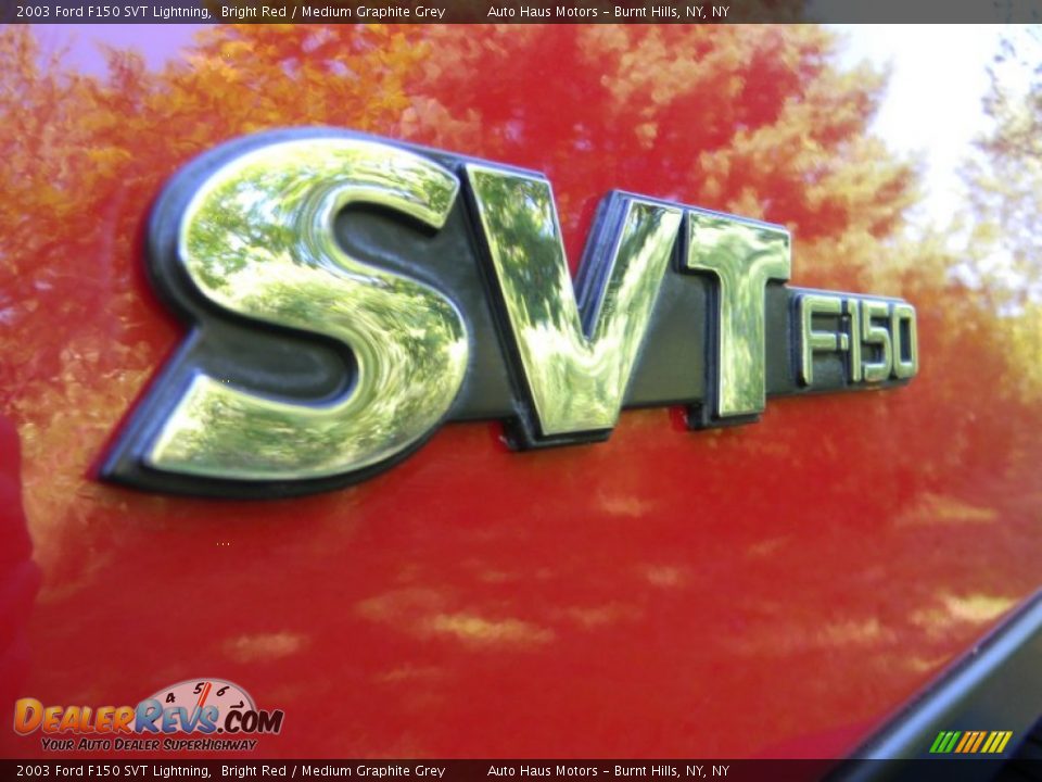 2003 Ford F150 SVT Lightning Logo Photo #35