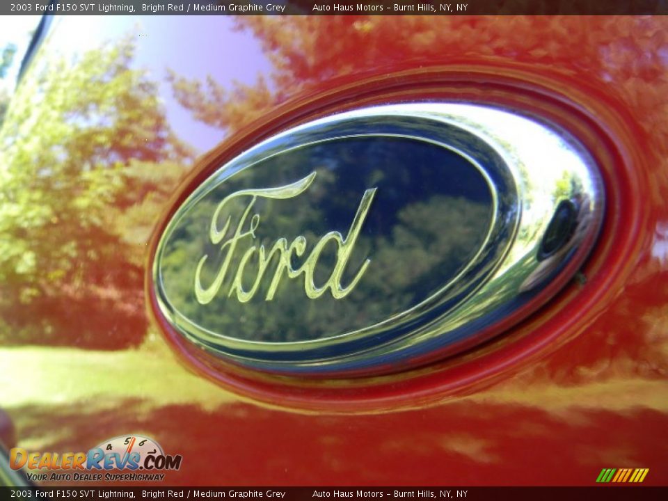 2003 Ford F150 SVT Lightning Logo Photo #36