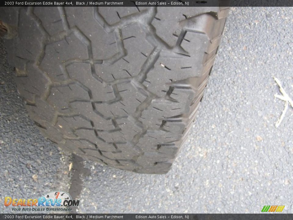 2003 Ford Excursion Eddie Bauer 4x4 Black / Medium Parchment Photo #35